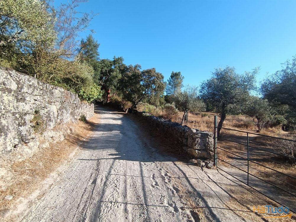 Terreno rústico na Fonte Santa, em Águas, Penamacor Terreno rústico na Fonte Santa, em Águas, Penamacor