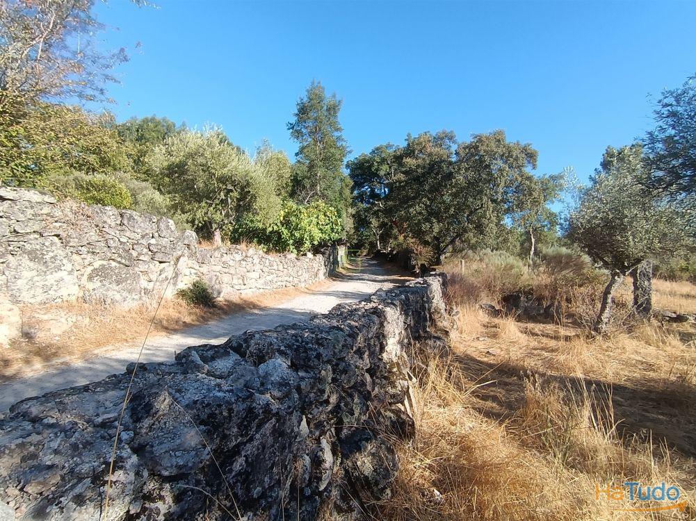 Terreno rústico na Fonte Santa, em Águas, Penamacor Terreno rústico na Fonte Santa, em Águas, Penamacor