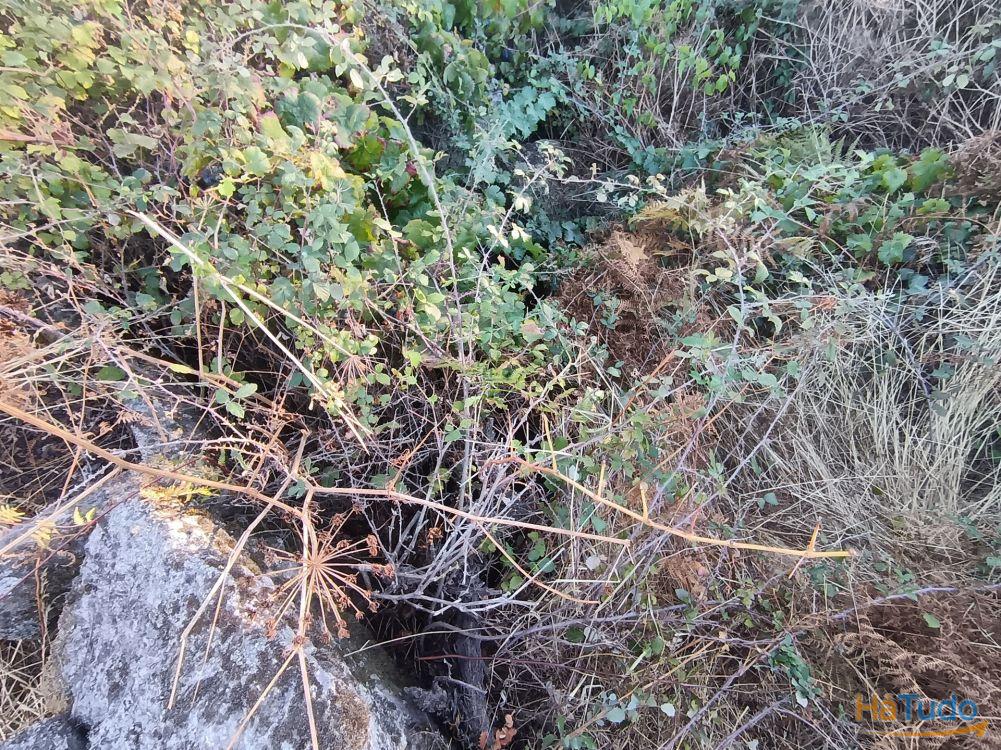 Terreno rústico na Fonte Santa, em Águas, Penamacor Terreno rústico na Fonte Santa, em Águas, Penamacor