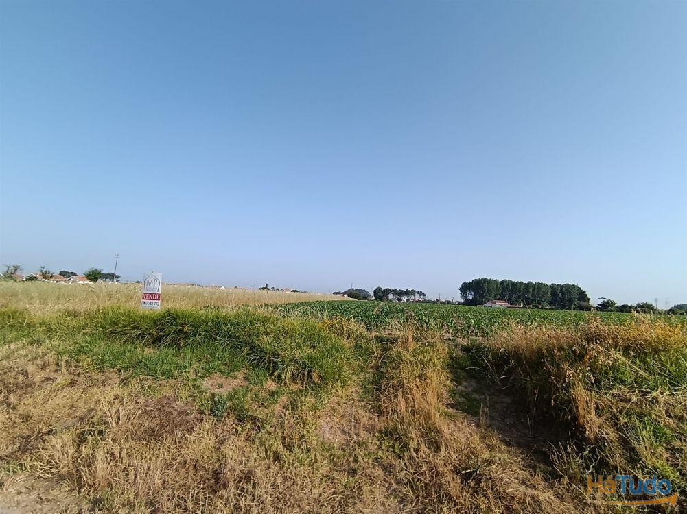 Terreno Rústico com 1380m2 e 15 de frente em Ilhavo. Terreno Rústico com 1380m2 e 15 de frente em Ilhavo.