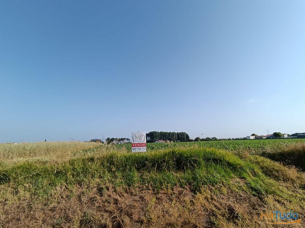 Terreno Rústico com 1380m2 e 15 de frente em Ilhavo. Terreno Rústico com 1380m2 e 15 de frente em Ilhavo.
