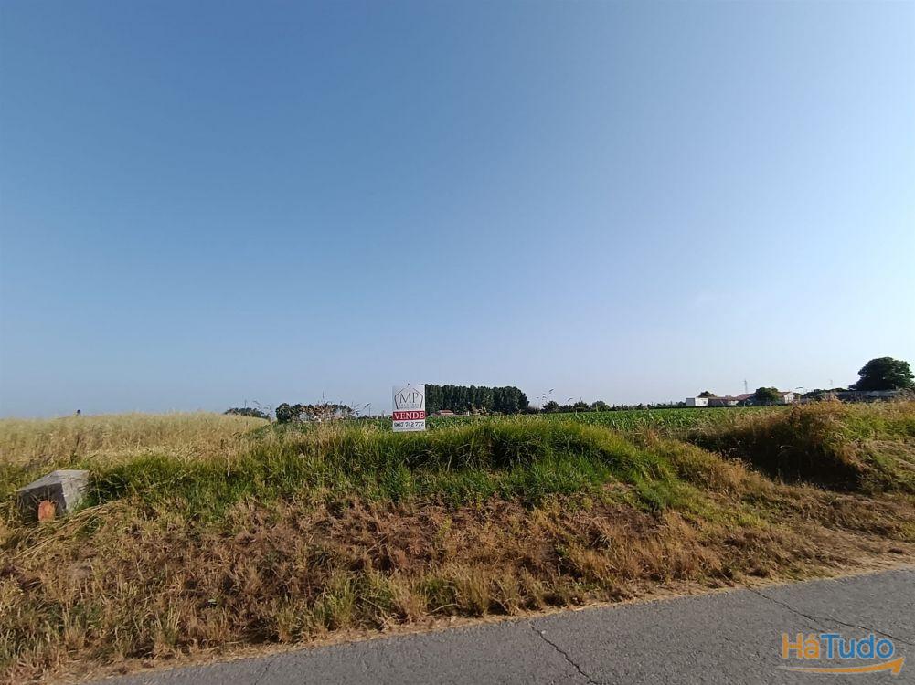 Terreno Rústico com 1380m2 e 15 de frente em Ilhavo. Terreno Rústico com 1380m2 e 15 de frente em Ilhavo.