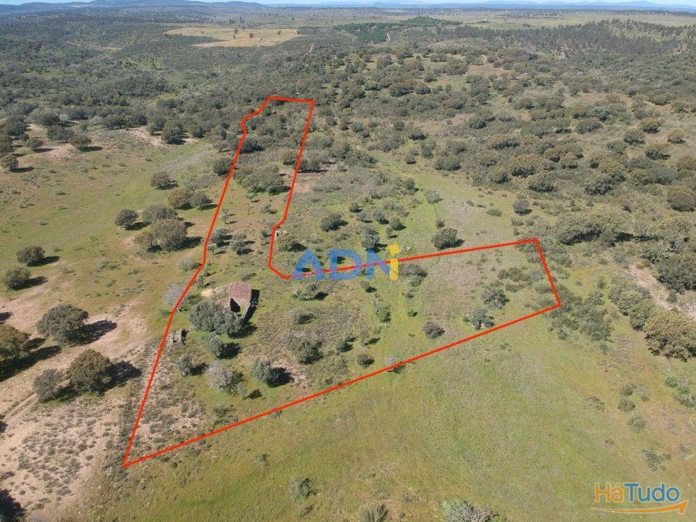 Terreno para venda no Rosmaninhal