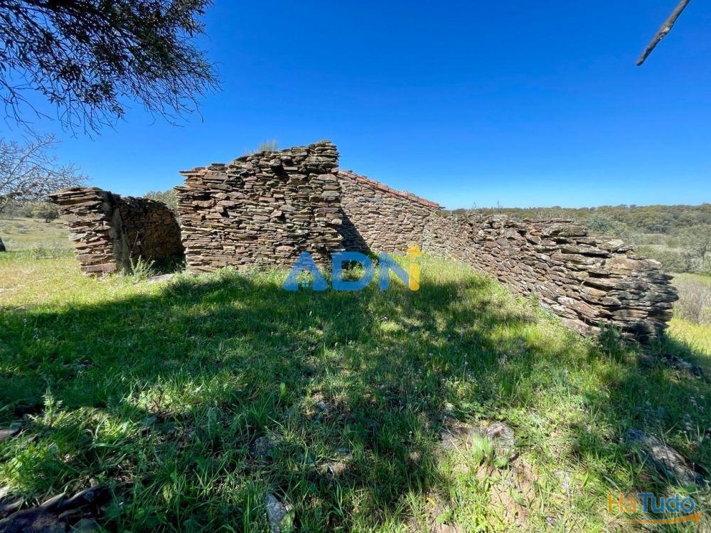 Terreno para venda no Rosmaninhal