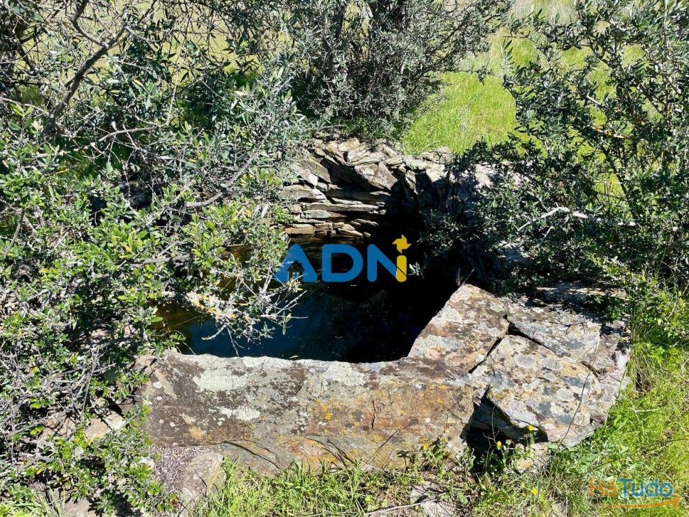 Terreno para venda no Rosmaninhal