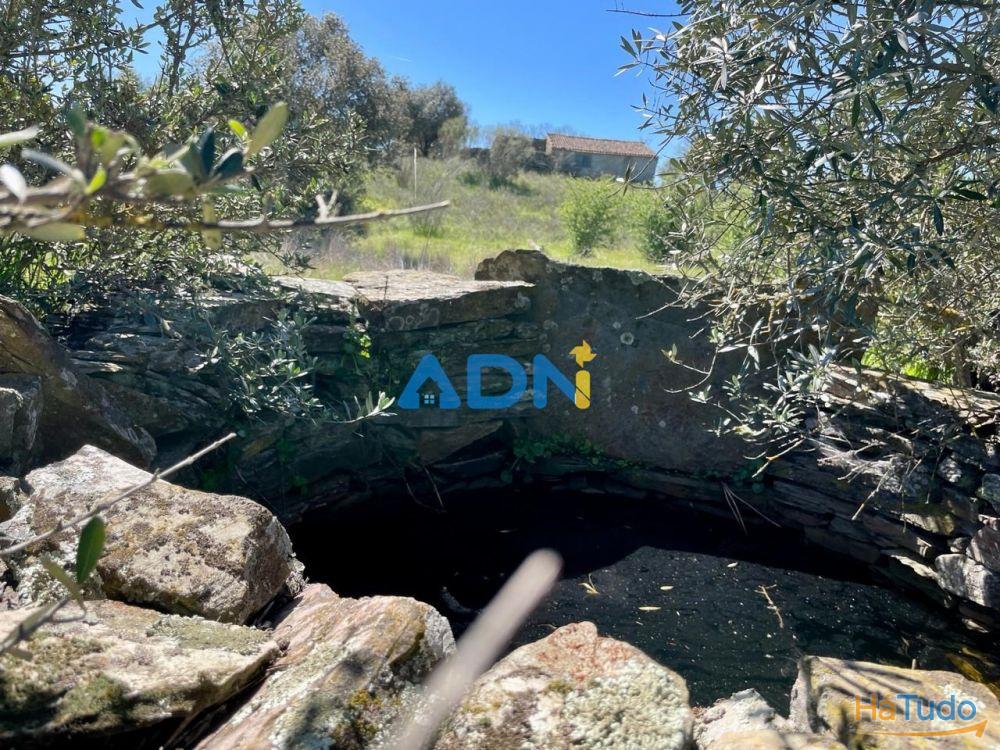 Terreno para venda no Rosmaninhal