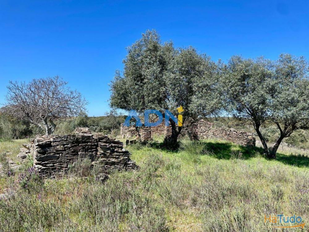 Terreno para venda no Rosmaninhal