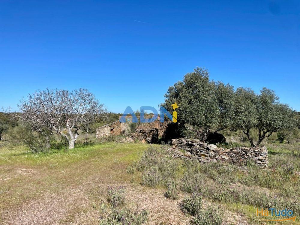 Terreno para venda no Rosmaninhal