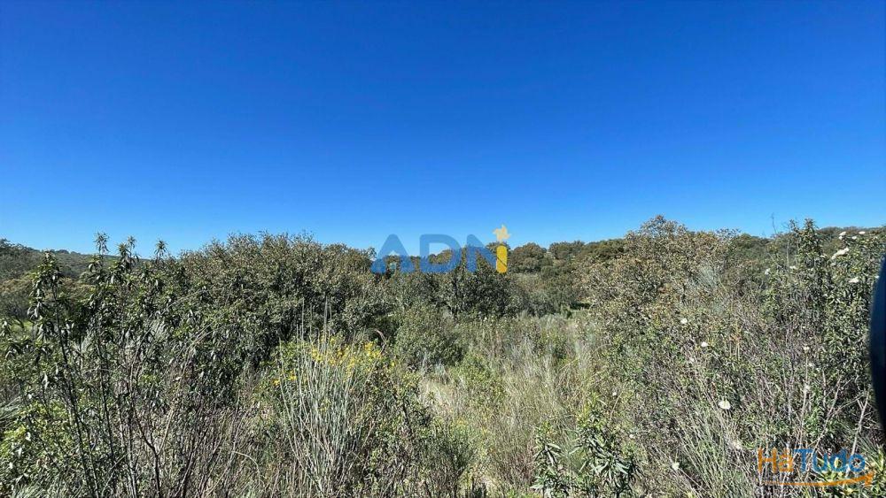 Terreno para venda no Rosmaninhal