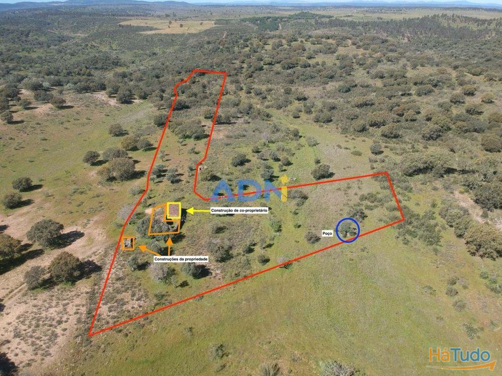 Terreno para venda no Rosmaninhal