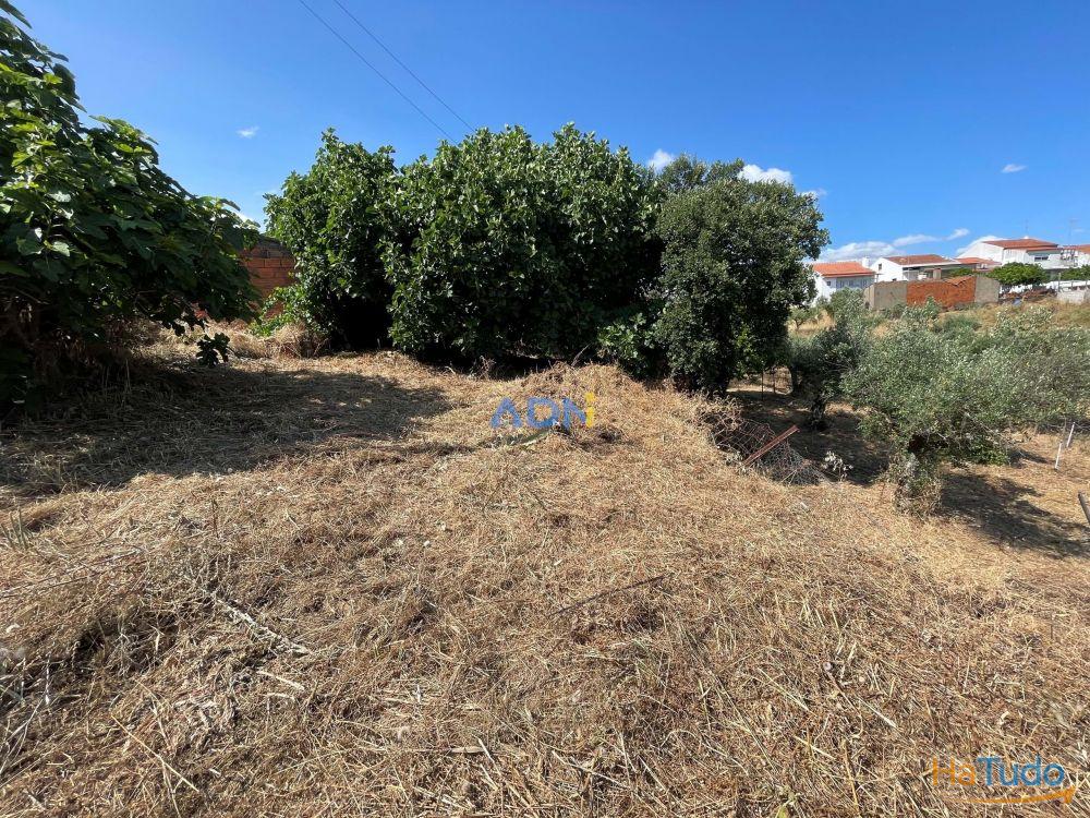 Terreno Agrcola com 2.740 m, construo agrcola e poo