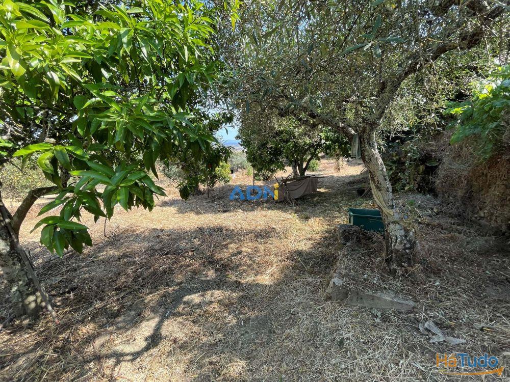 Terreno Agrcola com 2.740 m, construo agrcola e poo