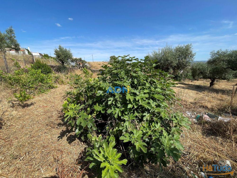 Terreno Agrcola com 2.740 m, construo agrcola e poo