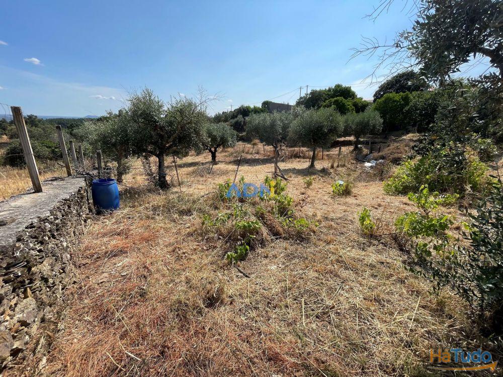Terreno Agrcola com 2.740 m, construo agrcola e poo