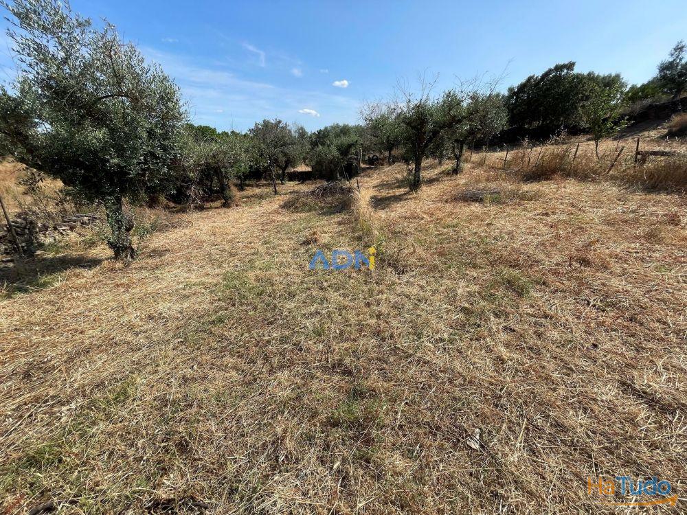 Terreno Agrcola com 2.740 m, construo agrcola e poo