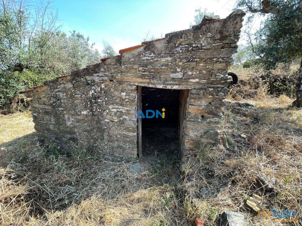 Terreno Agrcola com 2.740 m, construo agrcola e poo