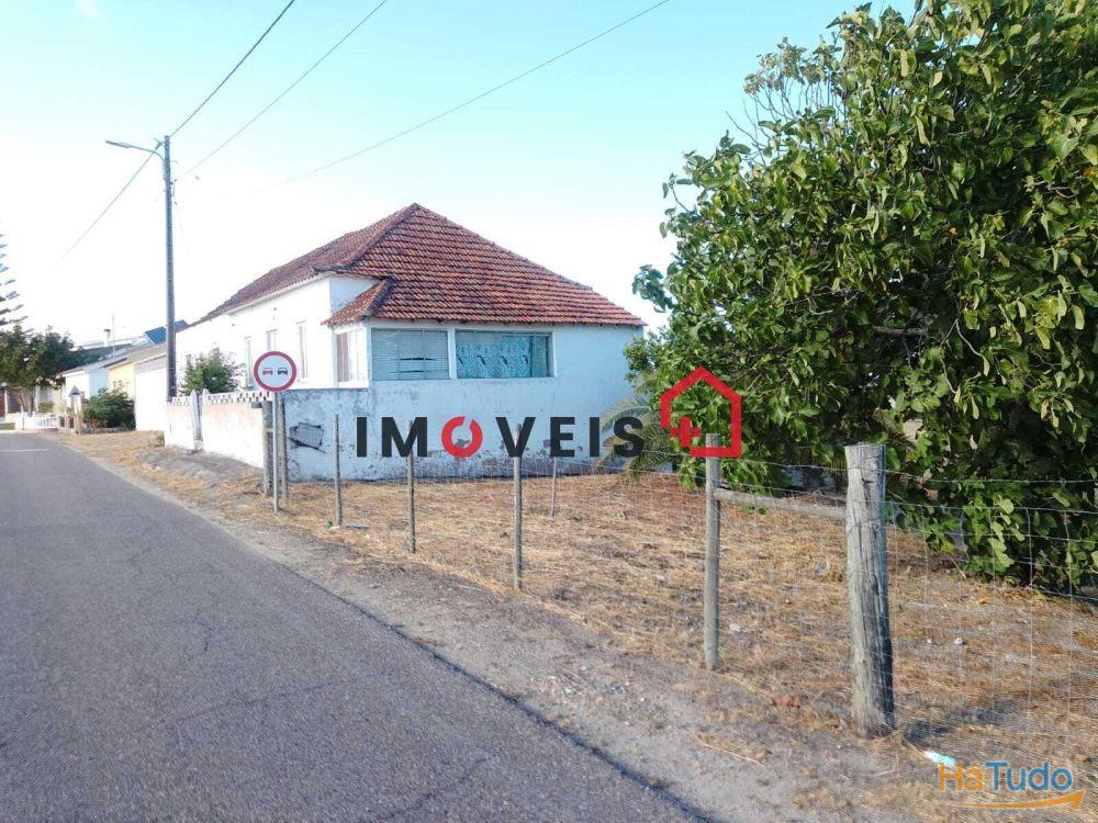 Moradia em Quintinha - Santarém (São Vicente do Paul e Vale de Figueira) Moradia em Quintinha - Santarém (São Vicente do Paul e Vale de Figueira)