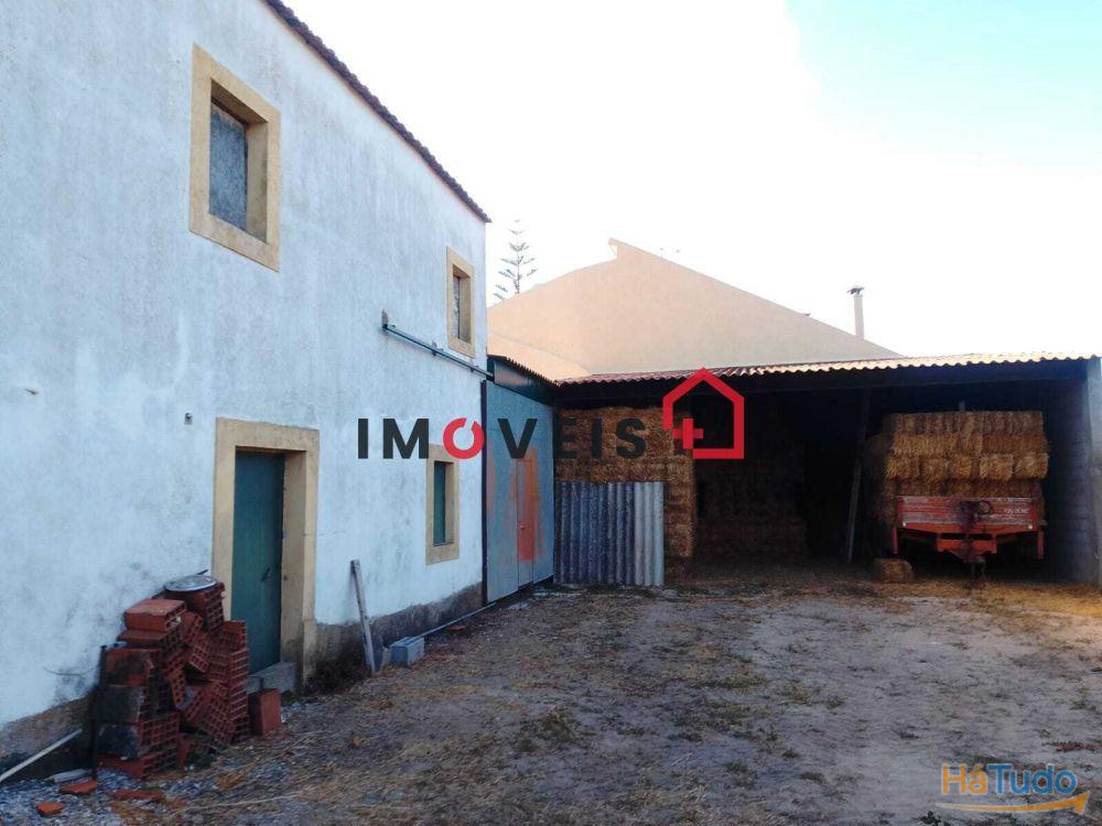 Moradia em Quintinha - Santarém (São Vicente do Paul e Vale de Figueira) Moradia em Quintinha - Santarém (São Vicente do Paul e Vale de Figueira)