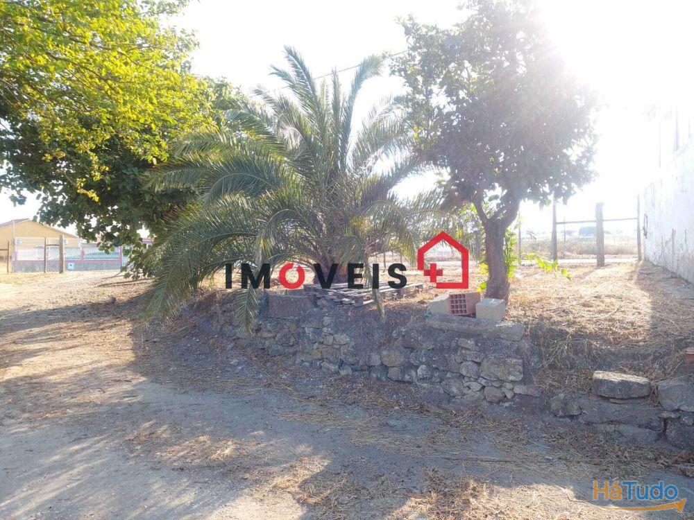 Moradia em Quintinha - Santarém (São Vicente do Paul e Vale de Figueira) Moradia em Quintinha - Santarém (São Vicente do Paul e Vale de Figueira)