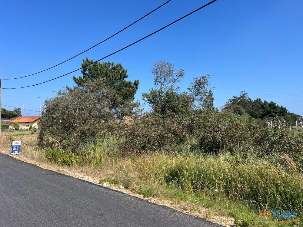 Terreno - Gafanha da Encarnação Terreno - Gafanha da Encarnação