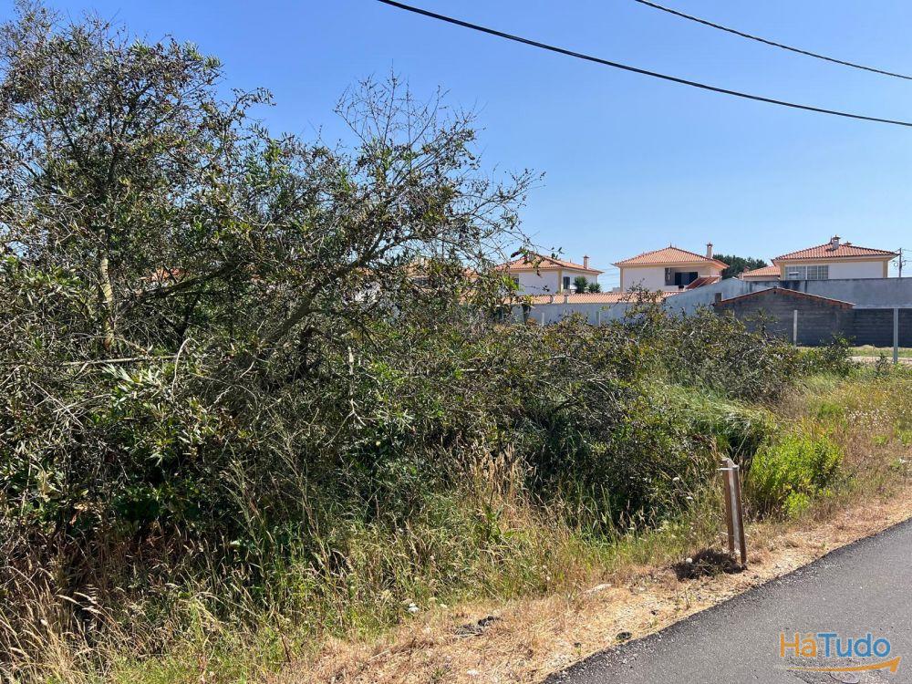 Terreno - Gafanha da Encarnação Terreno - Gafanha da Encarnação