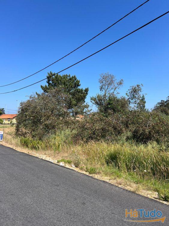 Terreno - Gafanha da Encarnação Terreno - Gafanha da Encarnação