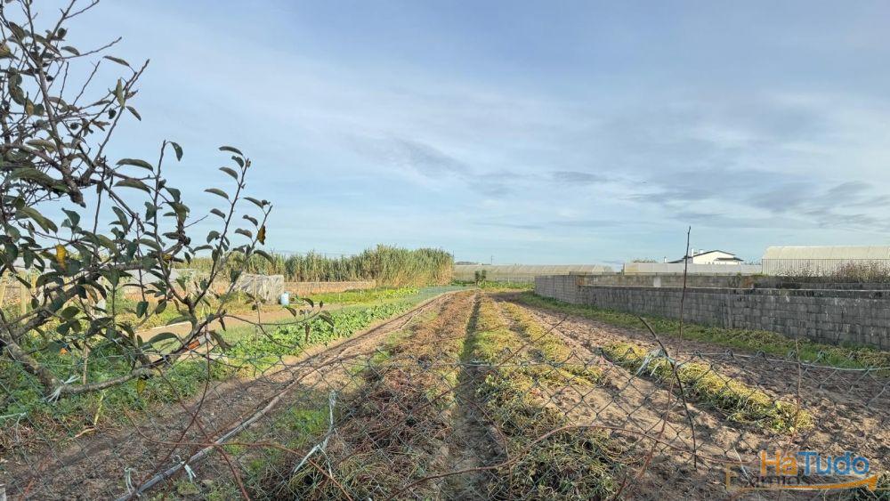 Moradia para restauro, em Aguçadoura, Póvoa de Varzim Moradia para restauro, em Aguçadoura, Póvoa de Varzim