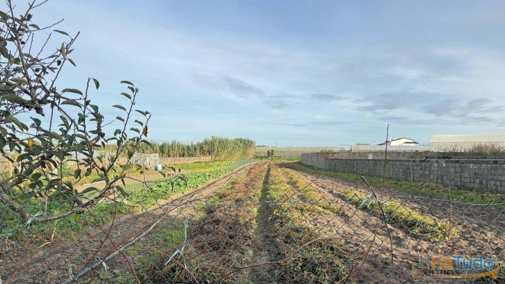 Moradia para restauro, em Aguçadoura, Póvoa de Varzim Moradia para restauro, em Aguçadoura, Póvoa de Varzim