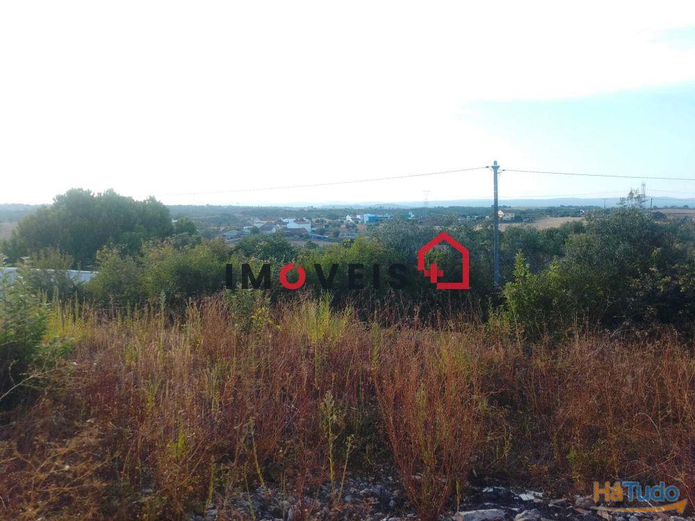 Casa Térrea Casa Térrea