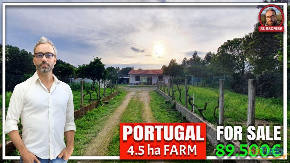 Quinta para venda em Castelo Branco com 4.5HA Quinta para venda em Castelo Branco com 4.5HA