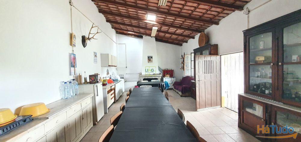 Quinta para venda em Castelo Branco com 4.5HA Quinta para venda em Castelo Branco com 4.5HA