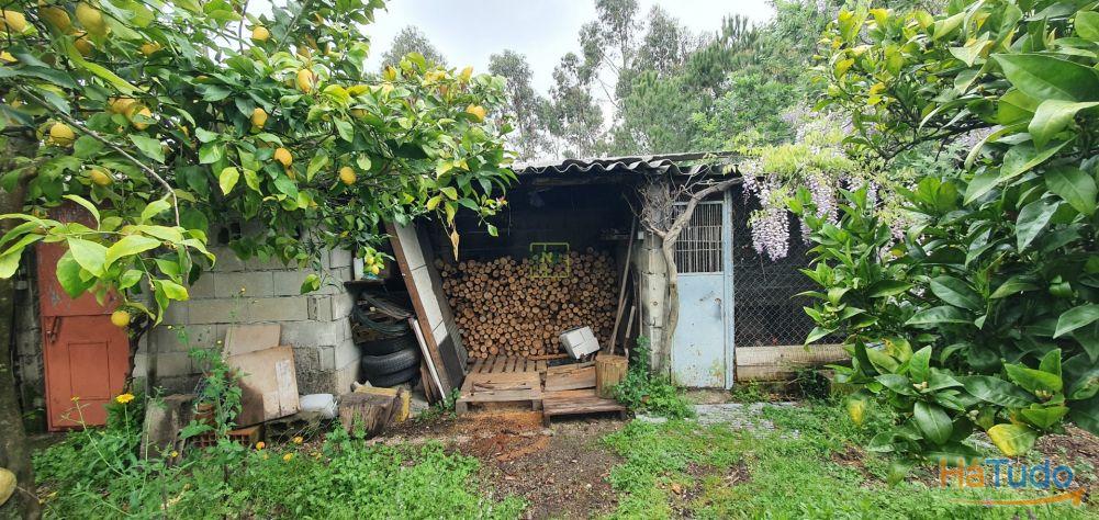 Quinta para venda em Castelo Branco com 4.5HA Quinta para venda em Castelo Branco com 4.5HA