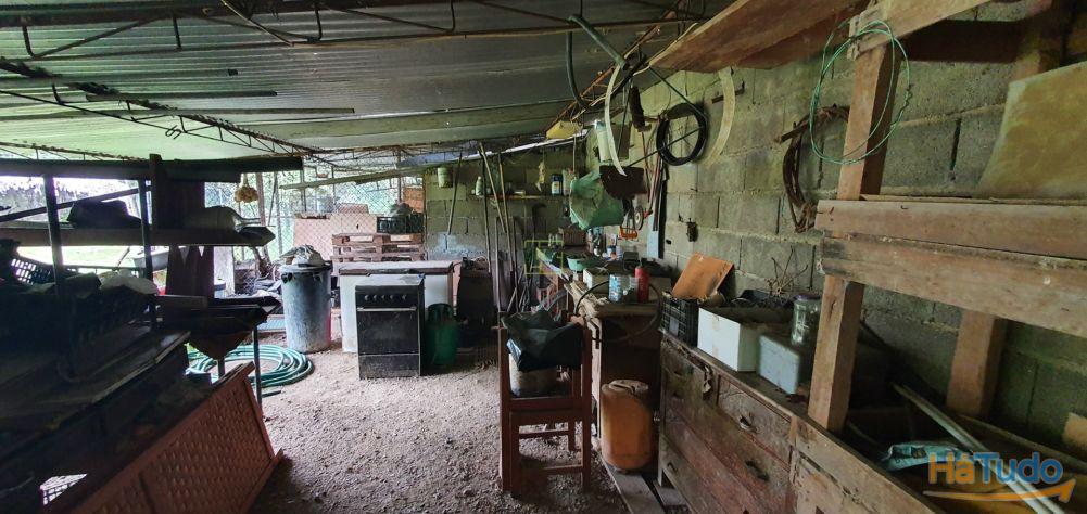 Quinta para venda em Castelo Branco com 4.5HA Quinta para venda em Castelo Branco com 4.5HA