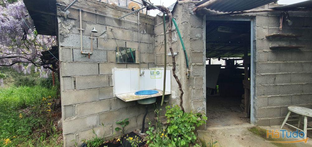 Quinta para venda em Castelo Branco com 4.5HA Quinta para venda em Castelo Branco com 4.5HA