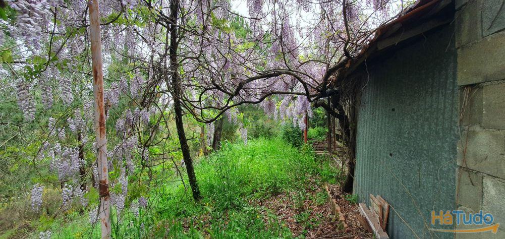Quinta para venda em Castelo Branco com 4.5HA Quinta para venda em Castelo Branco com 4.5HA