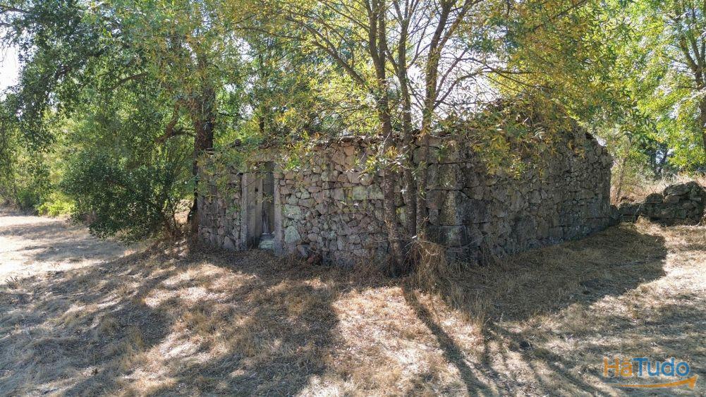 Quinta com área de 3250m2 e Construção Rural com 36m2 ? a 10 minutos de Castelo Branco Quinta com área de 3250m2 e Construção Rural com 36m2 ? a 10 minutos de Castelo Branco