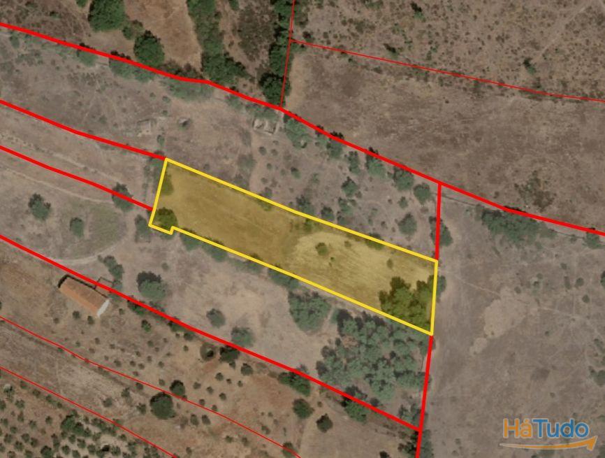 Quinta com área de 3250m2 e Construção Rural com 36m2 ? a 10 minutos de Castelo Branco Quinta com área de 3250m2 e Construção Rural com 36m2 ? a 10 minutos de Castelo Branco