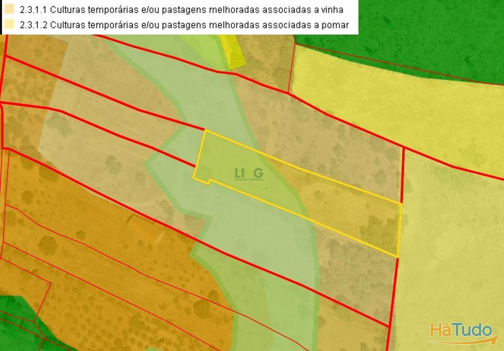 Quinta com área de 3250m2 e Construção Rural com 36m2 ? a 10 minutos de Castelo Branco Quinta com área de 3250m2 e Construção Rural com 36m2 ? a 10 minutos de Castelo Branco
