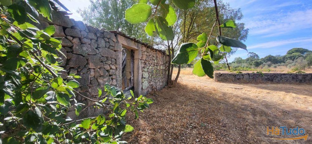 Quinta com área de 3250m2 e Construção Rural com 36m2 ? a 10 minutos de Castelo Branco Quinta com área de 3250m2 e Construção Rural com 36m2 ? a 10 minutos de Castelo Branco