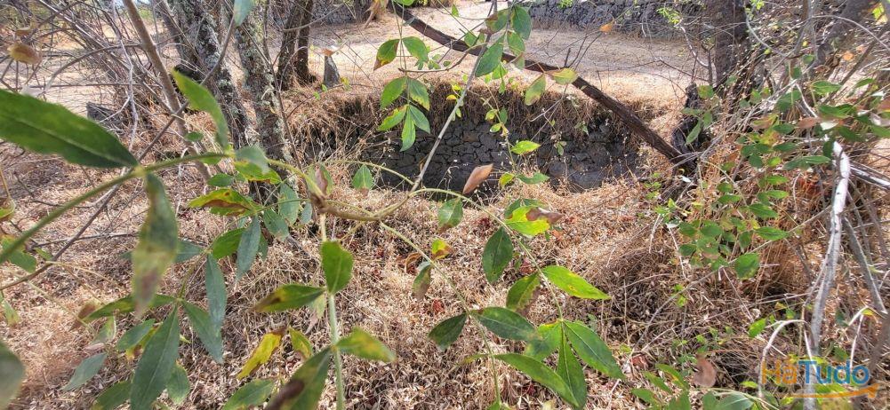 Quinta com área de 3250m2 e Construção Rural com 36m2 ? a 10 minutos de Castelo Branco Quinta com área de 3250m2 e Construção Rural com 36m2 ? a 10 minutos de Castelo Branco
