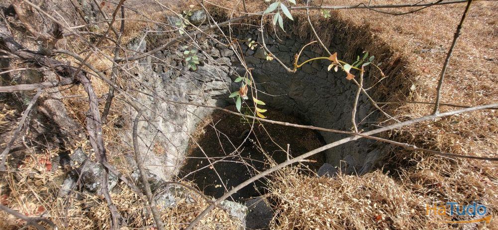 Quinta com área de 3250m2 e Construção Rural com 36m2 ? a 10 minutos de Castelo Branco Quinta com área de 3250m2 e Construção Rural com 36m2 ? a 10 minutos de Castelo Branco