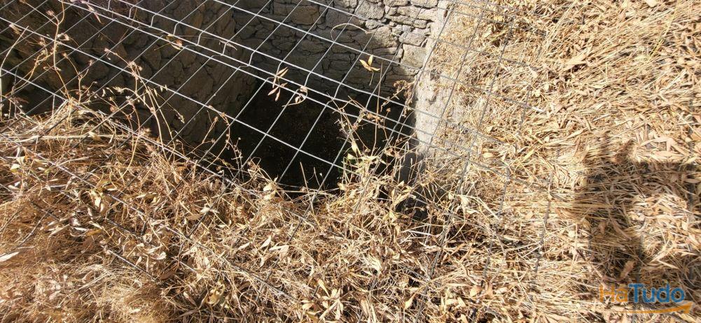 Quinta com área de 3250m2 e Construção Rural com 36m2 ? a 10 minutos de Castelo Branco Quinta com área de 3250m2 e Construção Rural com 36m2 ? a 10 minutos de Castelo Branco