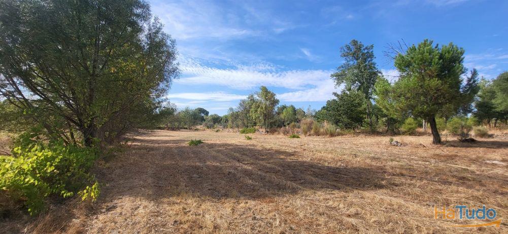 Quinta com área de 3250m2 e Construção Rural com 36m2 ? a 10 minutos de Castelo Branco Quinta com área de 3250m2 e Construção Rural com 36m2 ? a 10 minutos de Castelo Branco