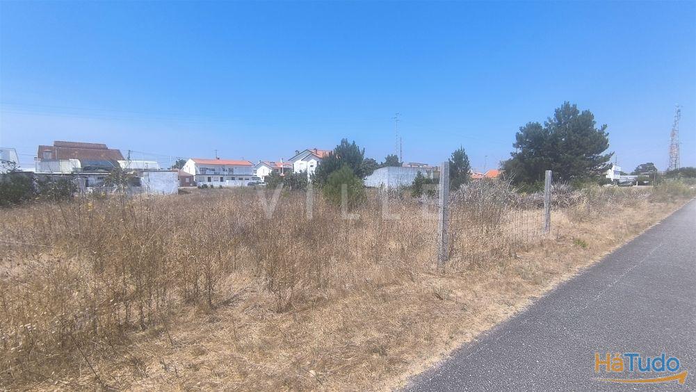 Terreno para venda na Gafanha da Nazaré Terreno para venda na Gafanha da Nazaré
