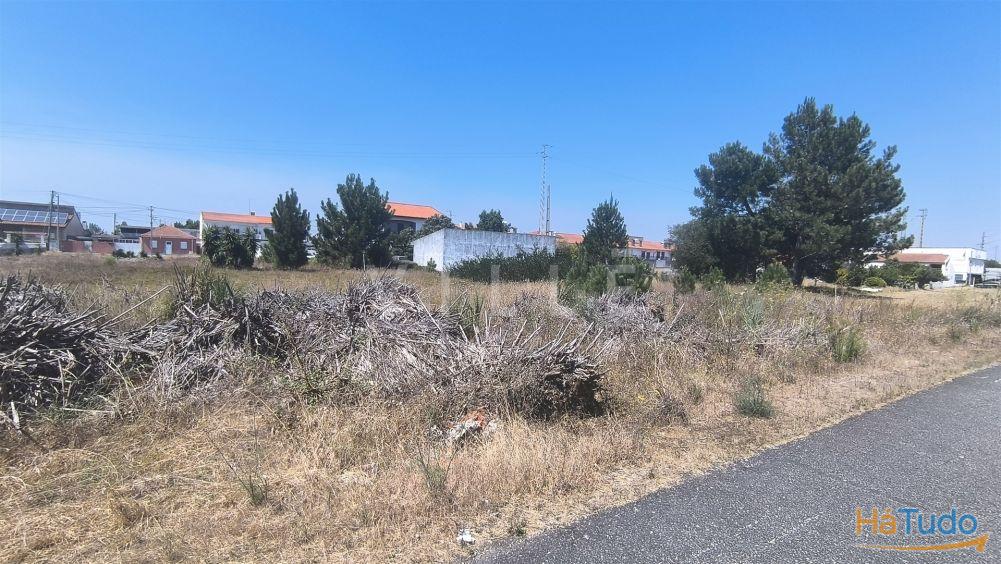Terreno para venda na Gafanha da Nazaré Terreno para venda na Gafanha da Nazaré