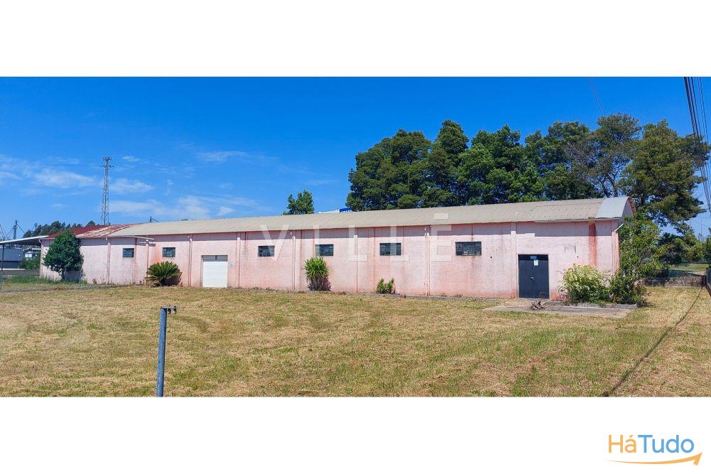 Pavilhão Industrial para Arrendamento na ZI de Albergaria-a-Velha Pavilhão Industrial para Arrendamento na ZI de Albergaria-a-Velha
