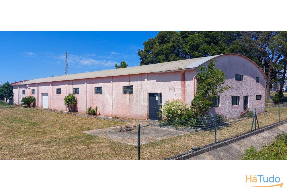 Pavilhão Industrial para Arrendamento na ZI de Albergaria-a-Velha Pavilhão Industrial para Arrendamento na ZI de Albergaria-a-Velha