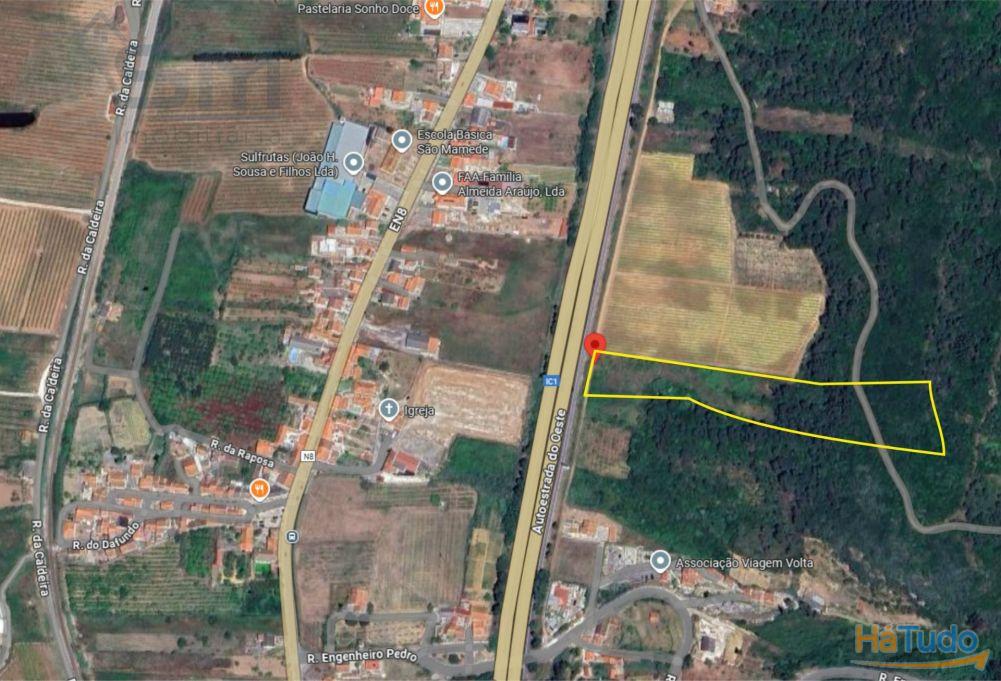 Terreno Rústico de 10.840m² em São Mamede, Bombarral, junto à autoestrada A8 Terreno Rústico de 10.840m² em São Mamede, Bombarral, junto à autoestrada A8