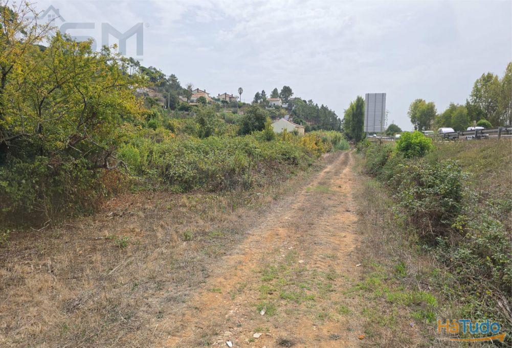 Terreno Rústico de 10.840m² em São Mamede, Bombarral, junto à autoestrada A8 Terreno Rústico de 10.840m² em São Mamede, Bombarral, junto à autoestrada A8