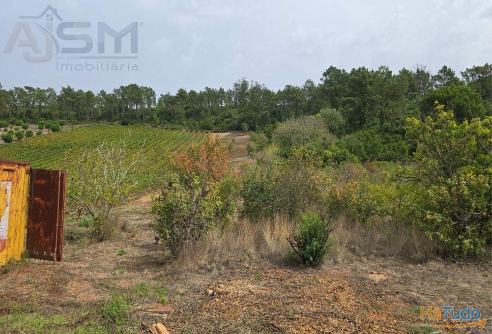 Terreno Rústico de 10.840m² em São Mamede, Bombarral, junto à autoestrada A8 Terreno Rústico de 10.840m² em São Mamede, Bombarral, junto à autoestrada A8